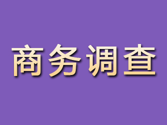 工布江达商务调查